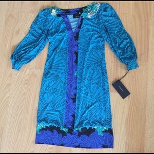 Analili blue Dress