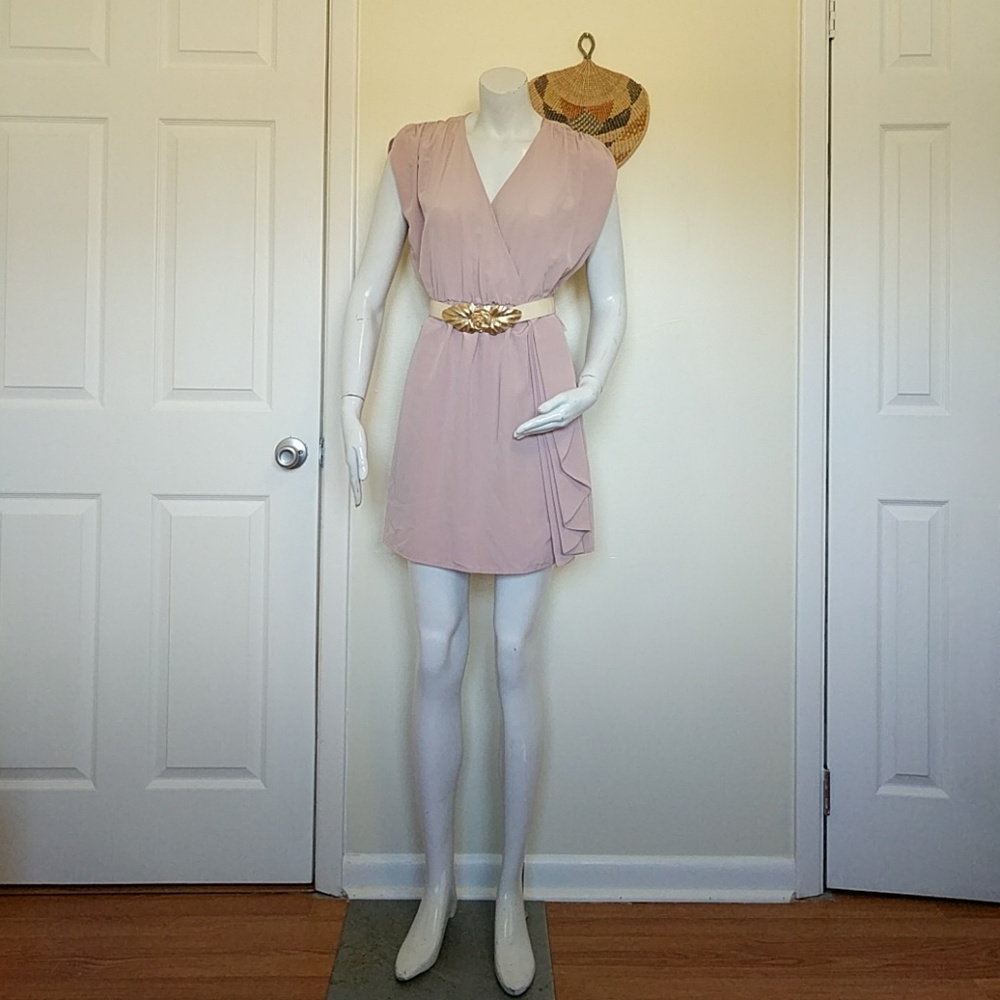Dusty Rose H&M Dress
