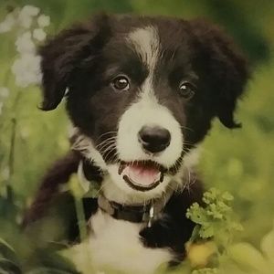 Meet your Posher, Vickie