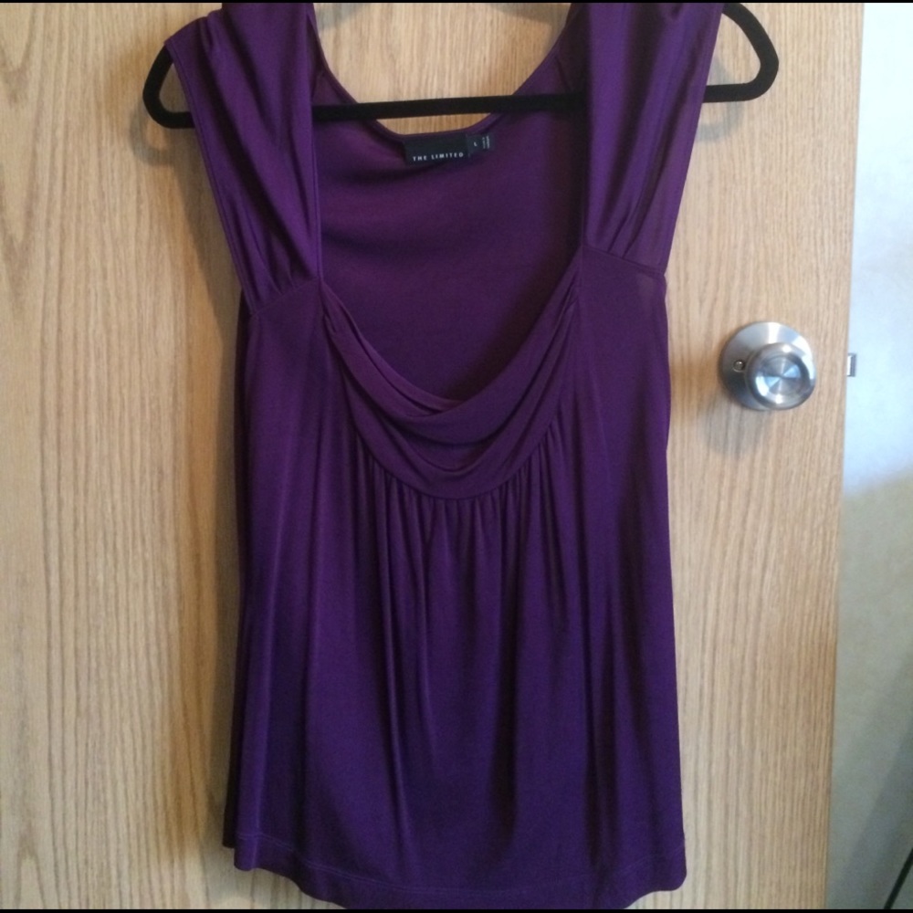 2/$20 Plum dress shirt