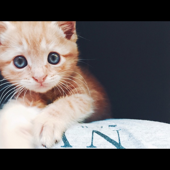 Hi! I'm chan :) - Picture 3 of 4