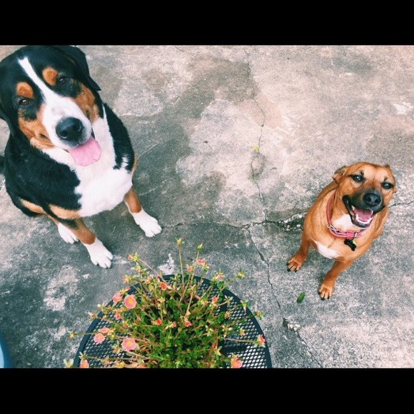 Hi! I'm chan :) - Picture 4 of 4