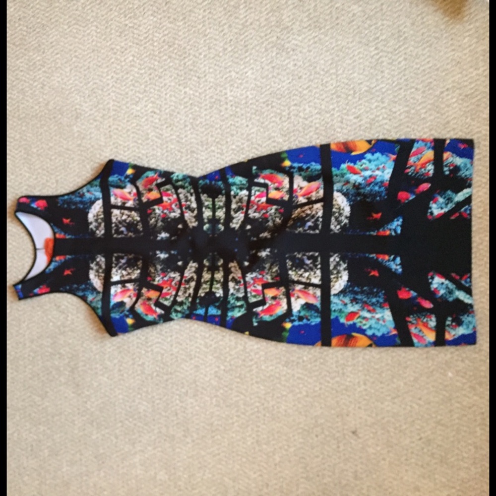 Clover Canyon Dress