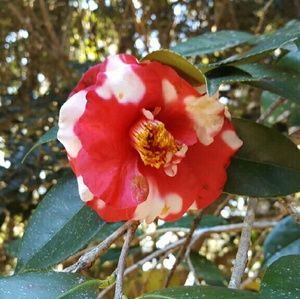 Meet your Posher, Elise