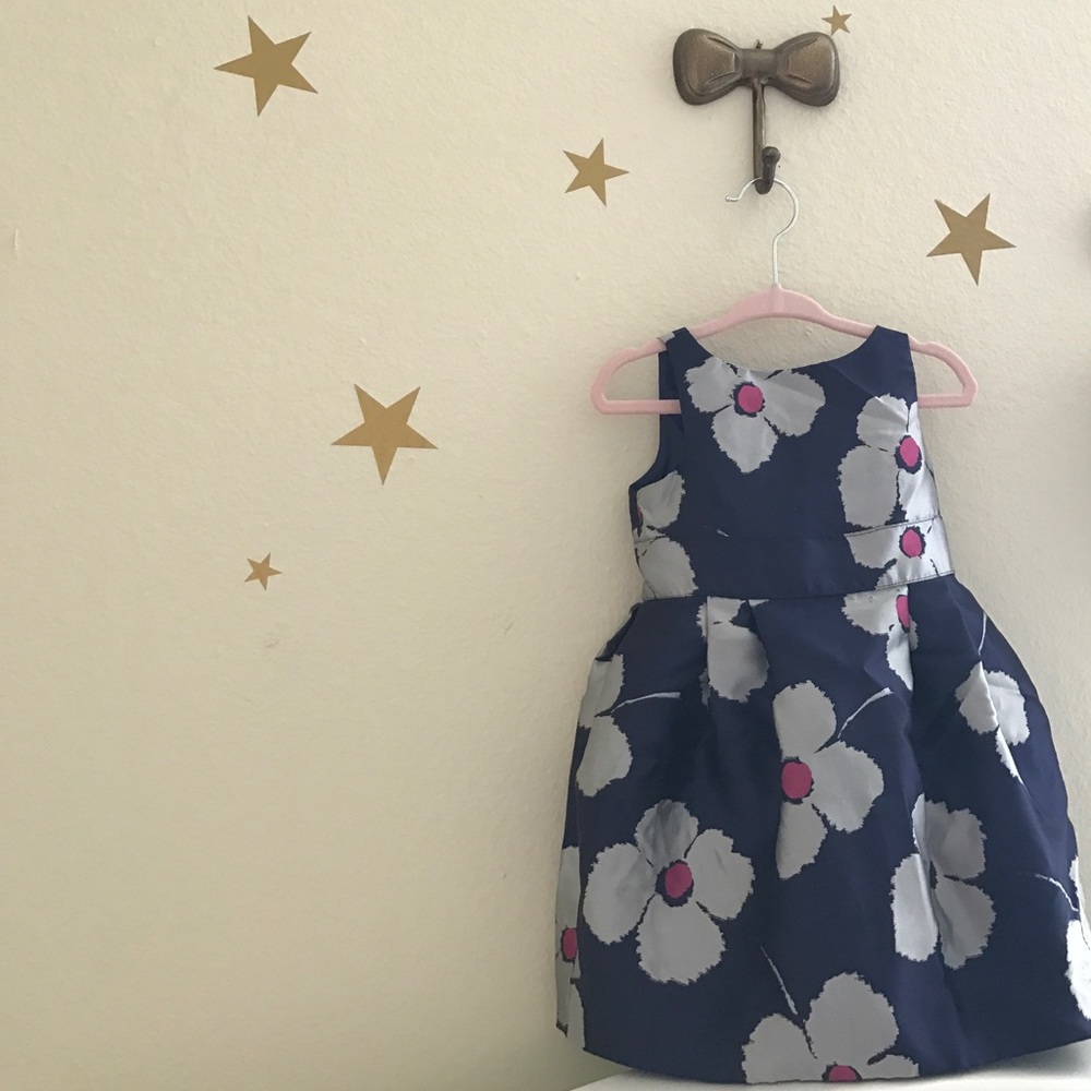 Janie and Jack blue toddler girl dress
