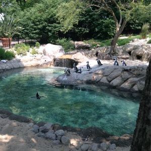 Meet your Posher, Kendall