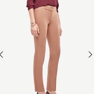 Devin everyday ankle