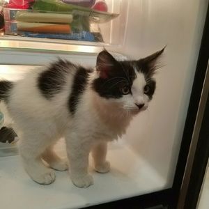 Meet your Posher, Leah