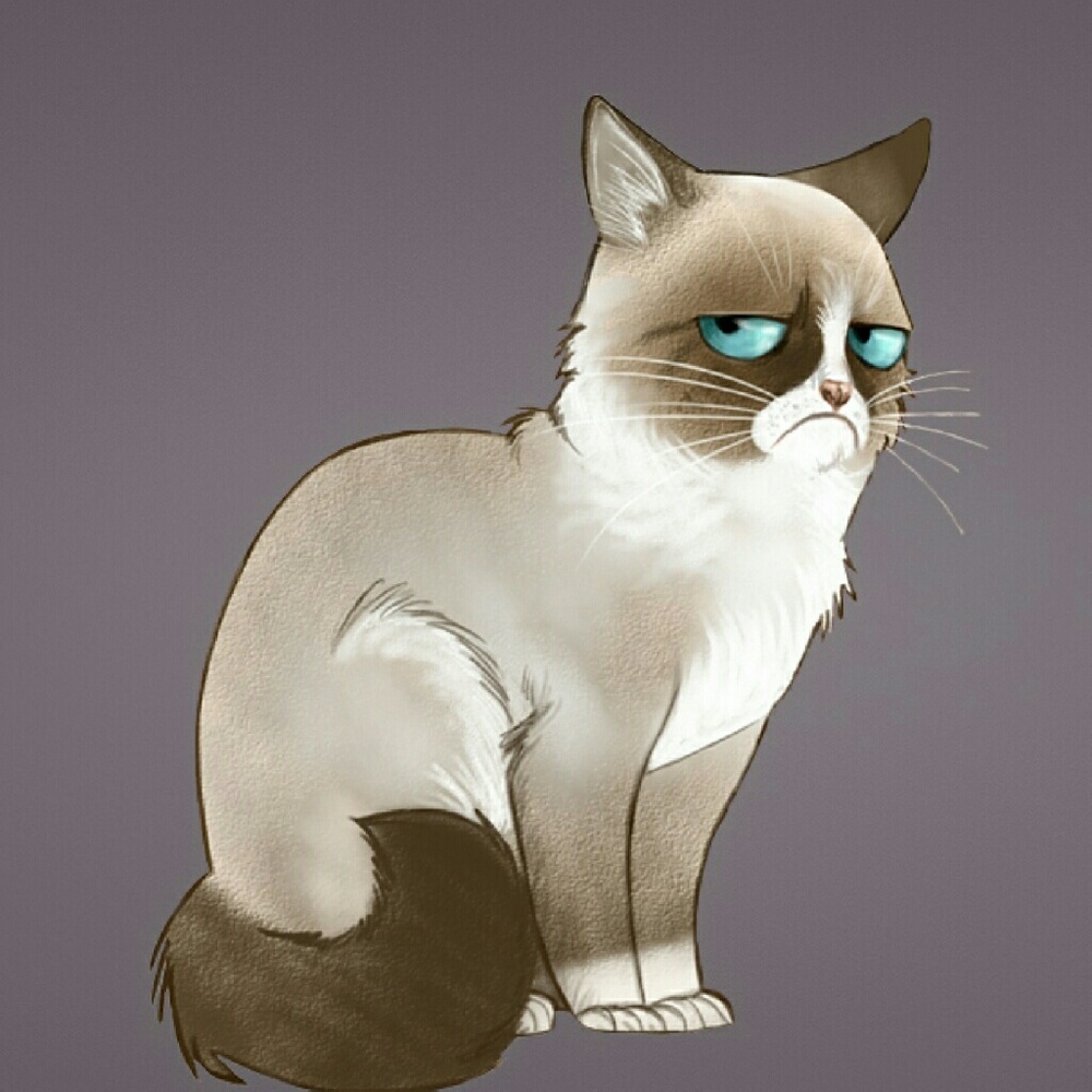 Meet your Posher, Mary