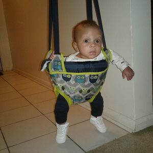 Meet your Posher, Jessie