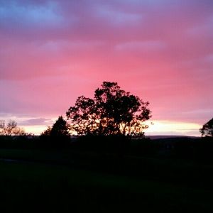 Meet your Posher, Kaitlyn