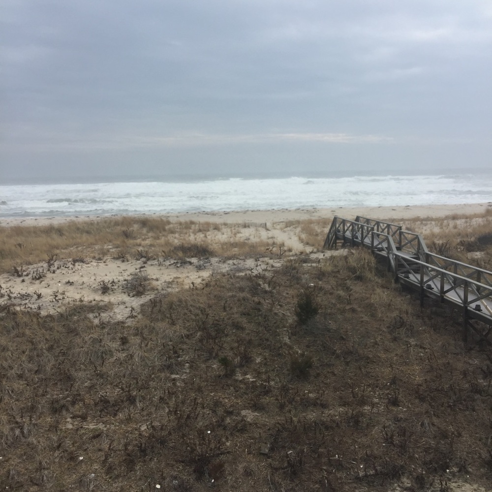 Meet your Posher, Jill