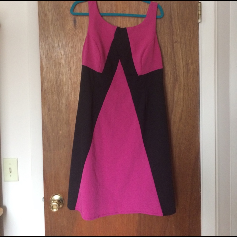 Professional dress Brand New