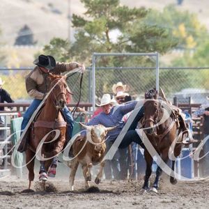 Meet your Posher, Brady