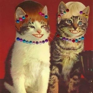 Meet your Posher, Mary