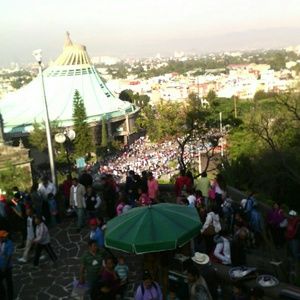 Meet your Posher, Liliana