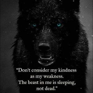 Meet your Posher, Gavin