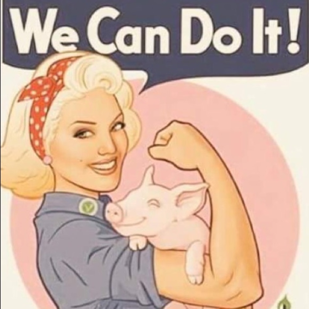 Meet your Posher, Lakosta