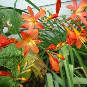 Meet your Posher, Jodi