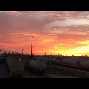 Meet your Posher, Bernice