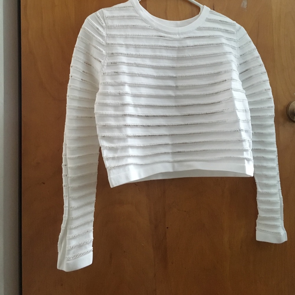 Sheer-Striped Crop Top