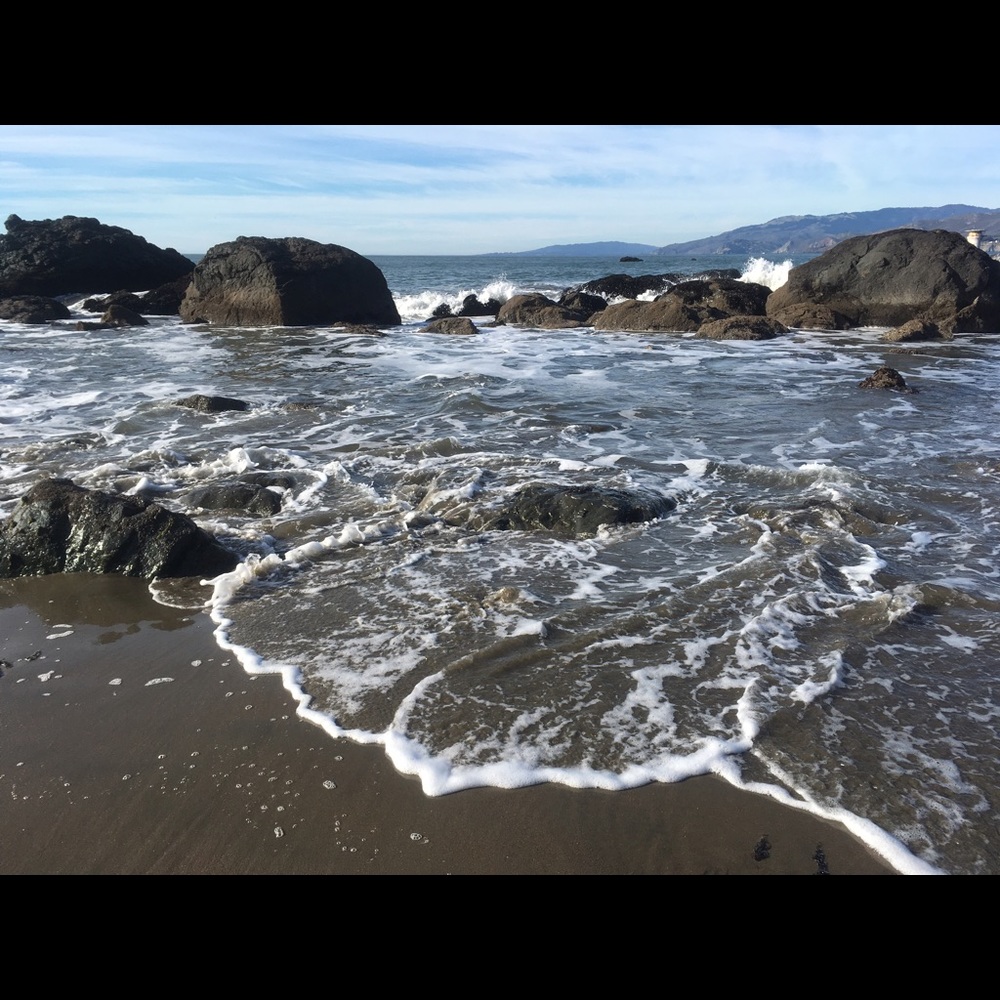 Meet your Posher, Maggie