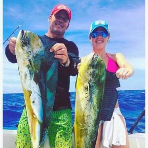 Meet your Posher, Alexandria