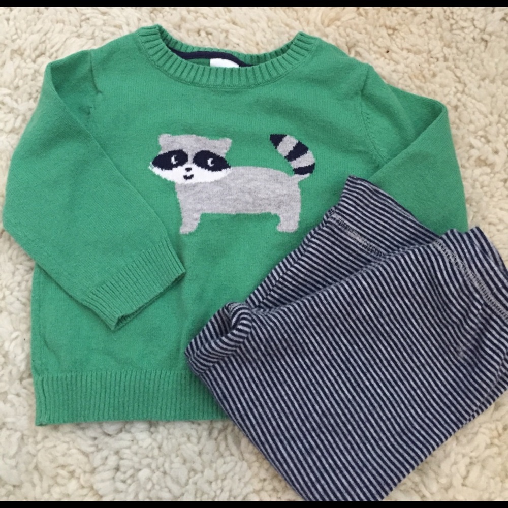 🚫donated12month raccoon sweater and pants set
