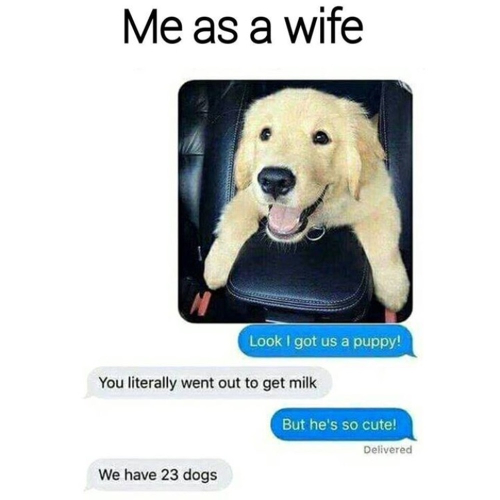 Meet your Posher, Teresa