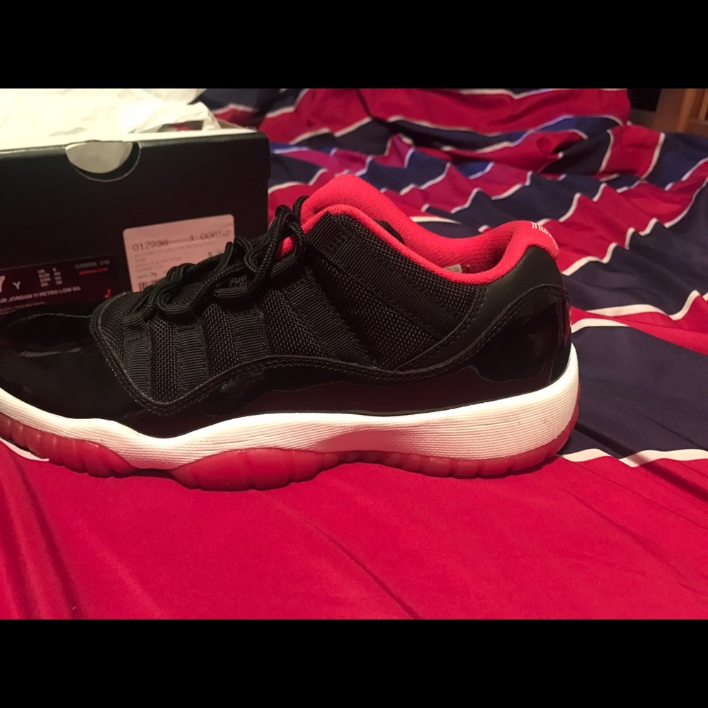 Jordan bred 11 lows