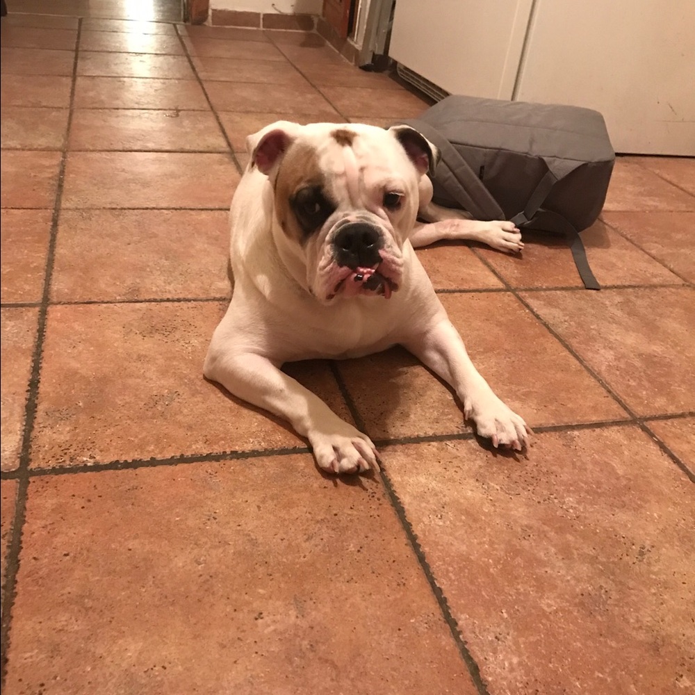 Meet your Posher, Wendi