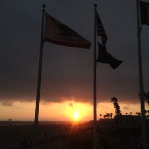 Meet your Posher, Lizzie