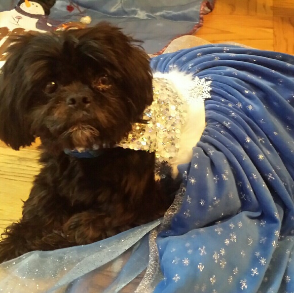 Meet your Posher, Cathy - Picture 2 of 8