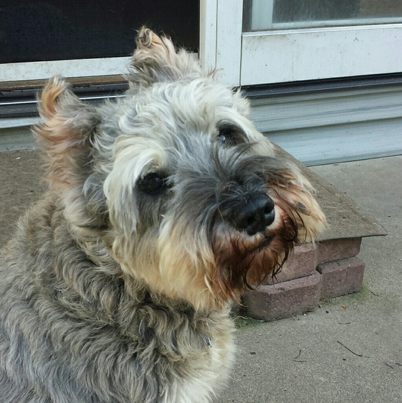 Meet your Posher, Cathy - Picture 4 of 8