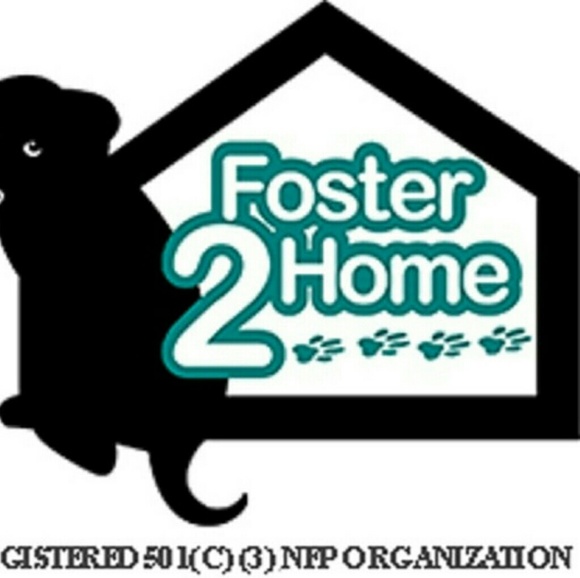 Meet your Posher, Cathy - Picture 5 of 8