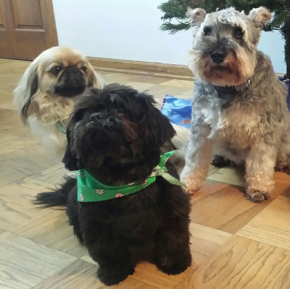 Meet your Posher, Cathy - Picture 7 of 8