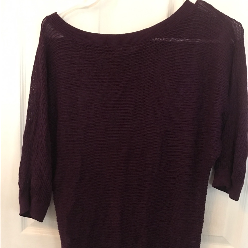 Express plum net sweater.