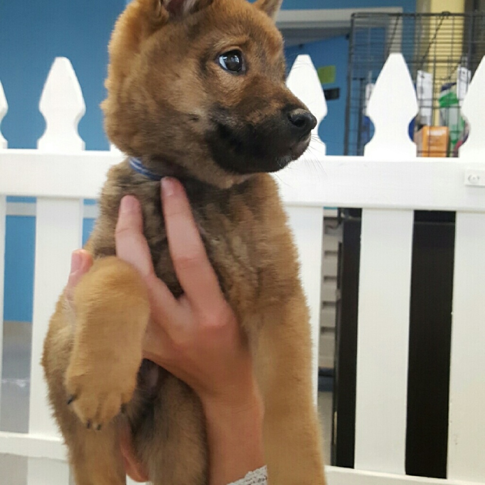 Meet your Posher, Mary