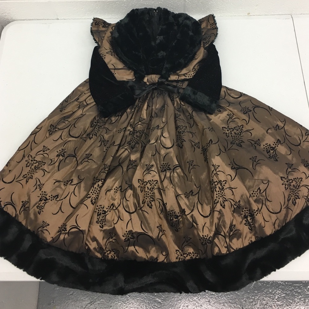 Bronze and Black Dress