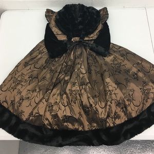 Bronze and Black Dress