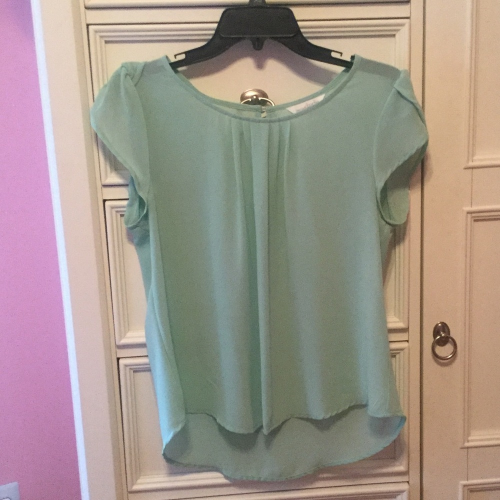 Mint short sleeved sheer top