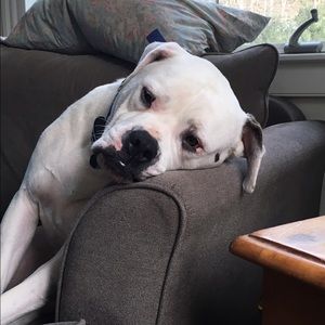 Meet your Posher, Patience