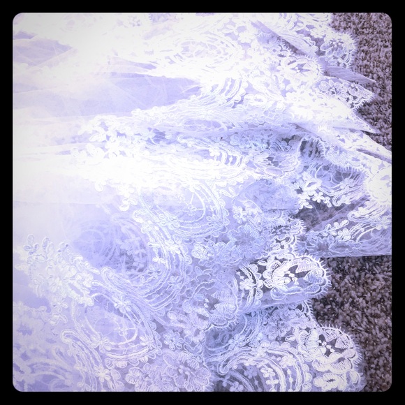 Beautiful wedding veil