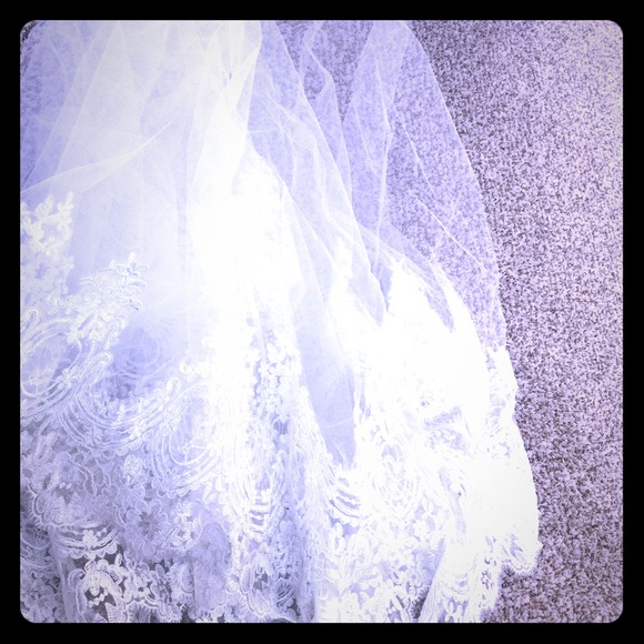 Beautiful wedding veil main image 4