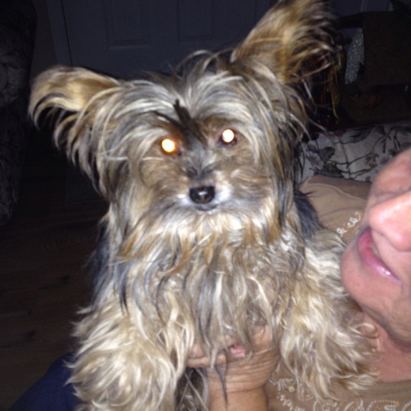 Meet your Posher, Michael - Picture 1 of 1