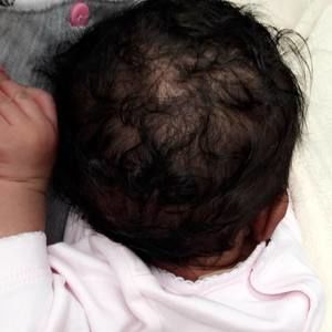 Meet your Posher, Morgan grace