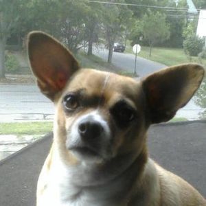 Meet your Posher, Jackie