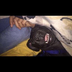 Meet your Posher, Katie