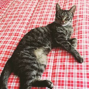 Meet your Posher, Molly