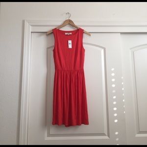 NEW Ann Taylor Loft Dress. Xs